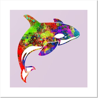 The Colorful Killer Whale Posters and Art